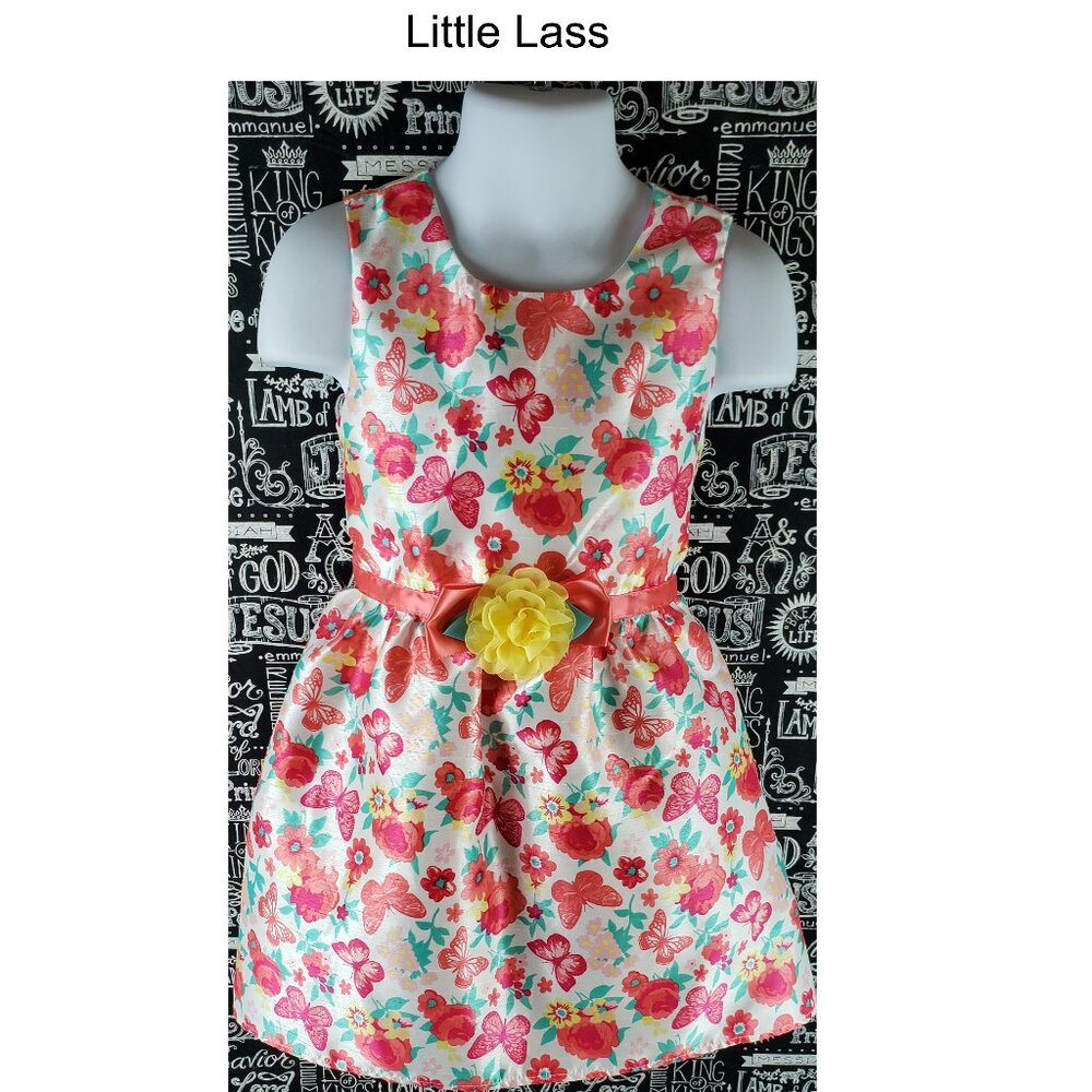 Little Lass Floral Sleeveless Dress Size 3T